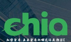 加密货币：未来货币的曙光还是泡沫？