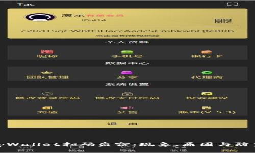 揭秘tpWallet扫码盗窃：现象、原因与防范措施