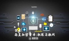 优质南美加密货币：机遇与挑战