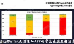 探索tpWallet无法进入APP的常见原因及解决方法