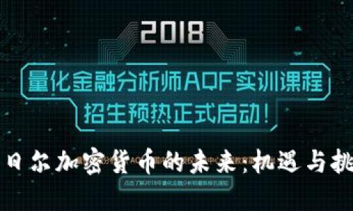 尼日尔加密货币的未来：机遇与挑战