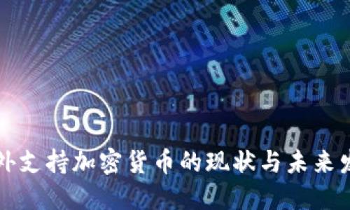 国外支持加密货币的现状与未来发展