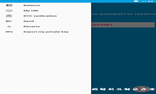 tpWallet收不到空投的原因解析及解决方案