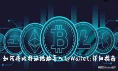 如何将比特派地址导入tpWallet：详细指南