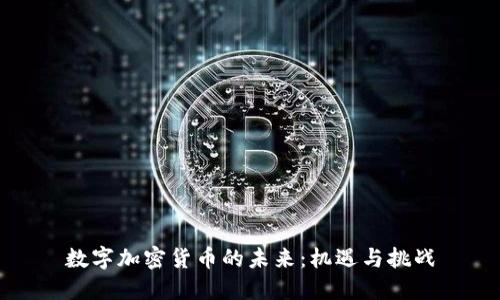 数字加密货币的未来：机遇与挑战