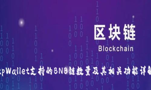 tpWallet支持的BNB链数量及其相关功能详解