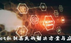   tpWallet私钥丢失的解决方案与应对策略