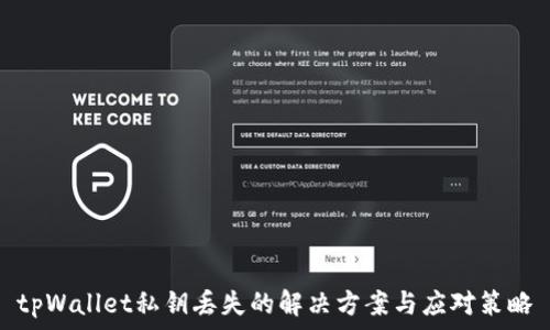  
tpWallet私钥丢失的解决方案与应对策略
