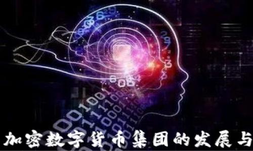 
中国加密数字货币集团的发展与未来