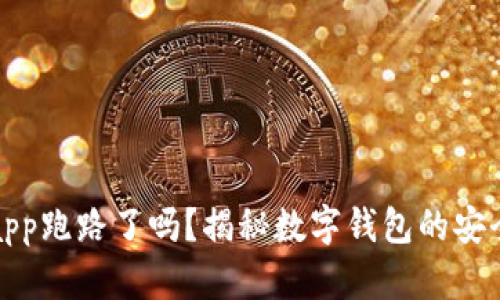 tpWalletapp跑路了吗？揭秘数字钱包的安全性与风险