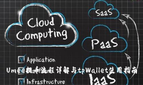 Umee提币流程详解与tpWallet使用指南
