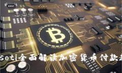 biasoti全面解读加密货币付款教程