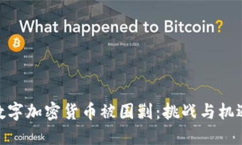 数字加密货币被围剿：挑战与机遇
