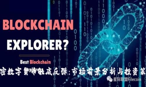 加密数字货币触底反弹：市场前景分析与投资策略