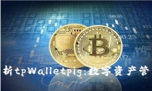 : 深入解析tpWalletpig：数字资产管理新风潮