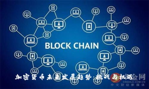 加密货币未来发展趋势：挑战与机遇