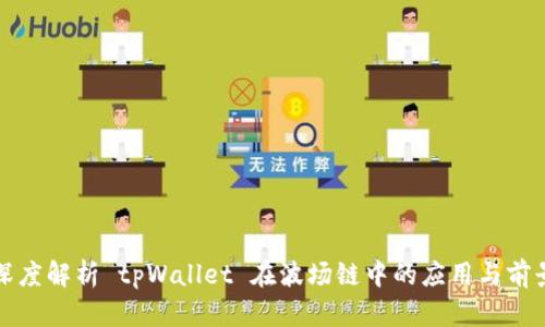 深度解析 tpWallet 在波场链中的应用与前景