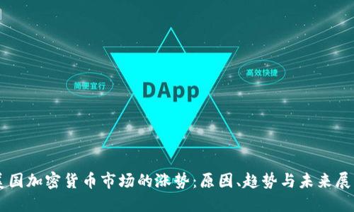美国加密货币市场的涨势：原因、趋势与未来展望