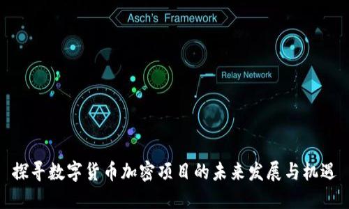 探寻数字货币加密项目的未来发展与机遇