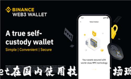
tpWallet在国内使用技巧与市场现状剖析