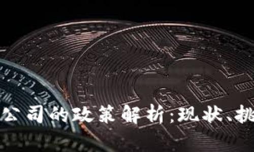 加密货币公司的政策解析：现状、挑战与未来