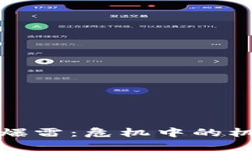 加密货币爆雷：危机中的机遇与挑战